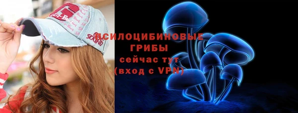 мет Дмитриев