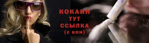 гидра Дмитров