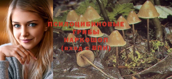 мет Дмитриев