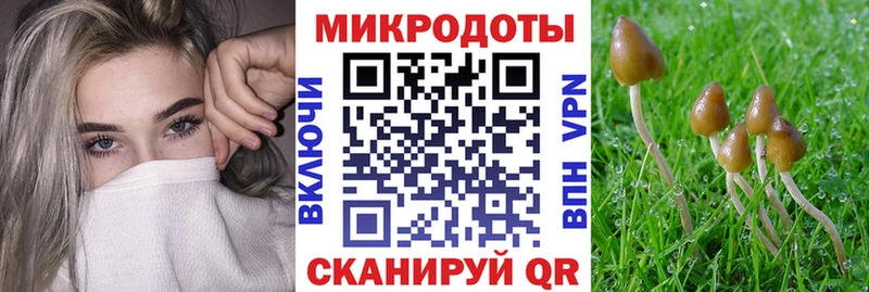 купить   кракен зеркало  Псилоцибиновые грибы GOLDEN TEACHER  Дмитровск 